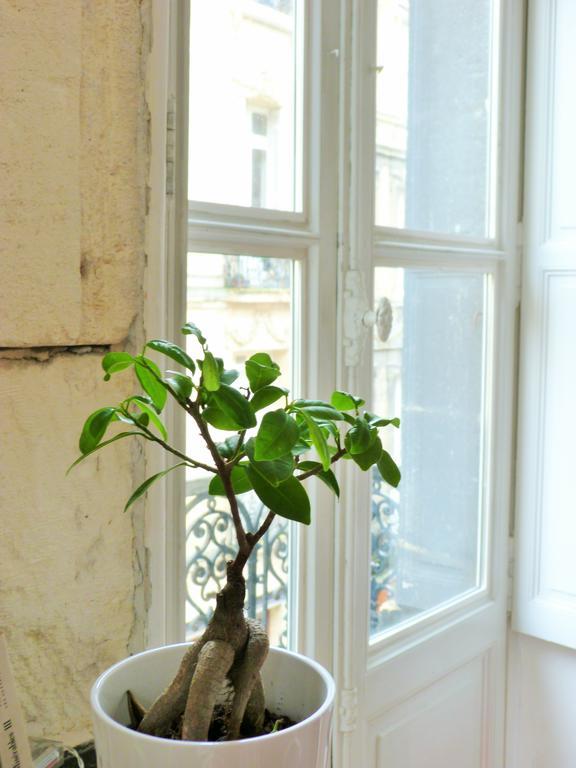 L'Appart D'Oli Et Tiane Burdeos Habitación foto